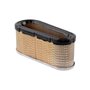 Filtro Aria Ex493909 - 496894S - Originale Briggs & Stratton