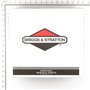 Serbatoio Quantum Power Ed Intek Verticale Ultime Versioni (Tappo 350029)  - 699374 - Originale Briggs & Stratton