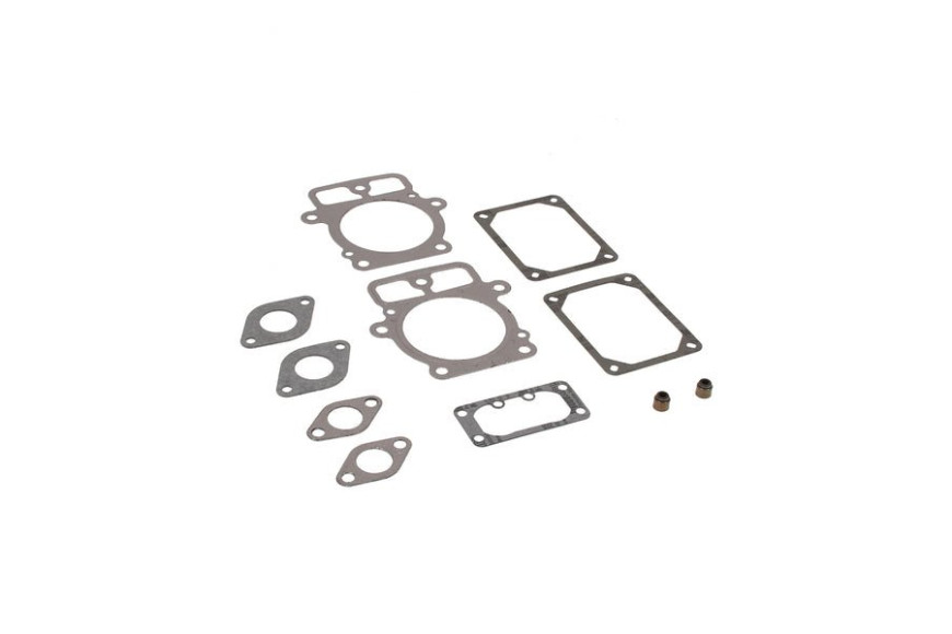 Serie Guarnizioni Testa Ex 499890  - 694013 - Originale Briggs & Stratton