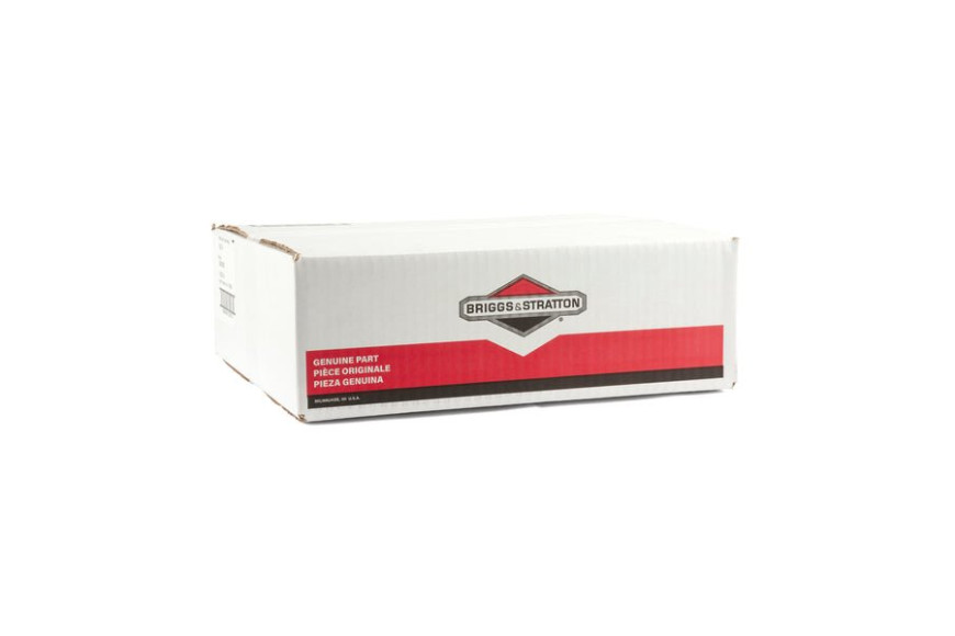 Filtro Comb. (4112 Pz 5) - 394358S - Originale Briggs & Stratton - sostituisce - 7014359YP