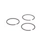 Serie Anelli Std  - 499604 - Originale Briggs & Stratton