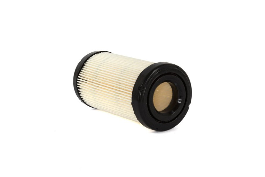 Filtro Aria - 793569 - Originale Briggs & Stratton