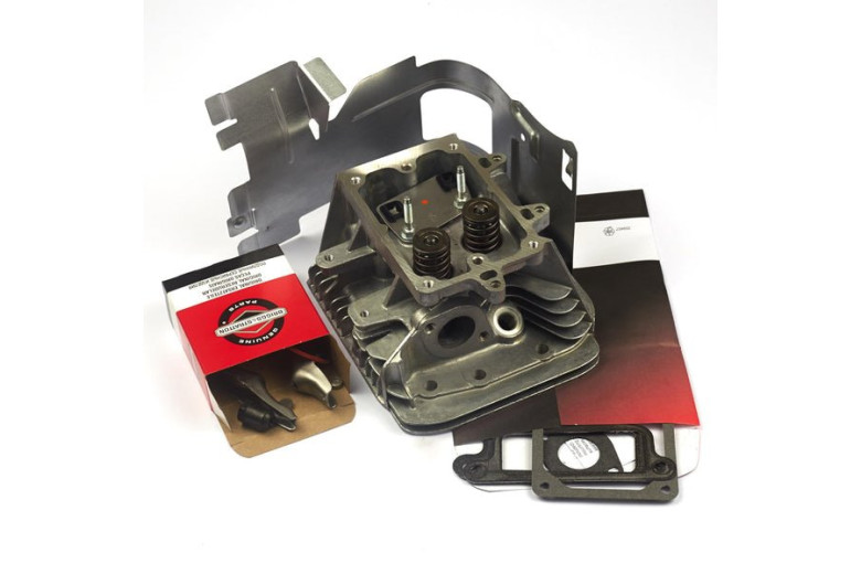 Testa Completa Ex 691165 698148  - 796026 - Originale Briggs & Stratton