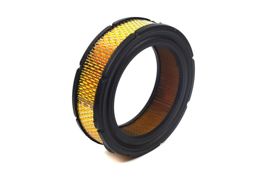Filtro Aria In Carta - 841856 - Originale Briggs & Stratton