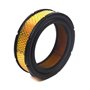 Filtro Aria In Carta - 841856 - Originale Briggs & Stratton