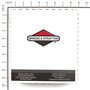 Filtro Aria In Carta - 841856 - Originale Briggs & Stratton
