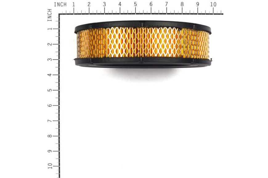 Filtro Aria In Carta - 841856 - Originale Briggs & Stratton