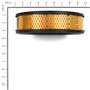 Filtro Aria In Carta - 841856 - Originale Briggs & Stratton