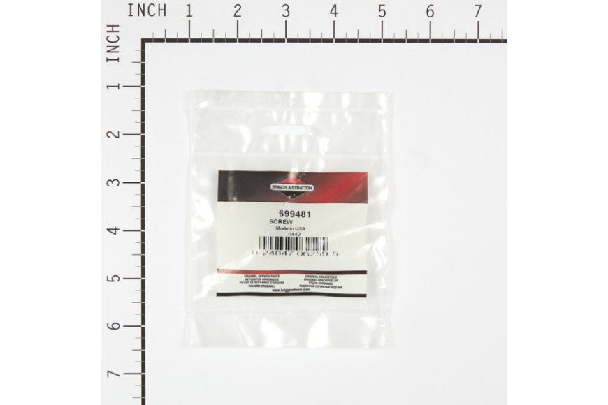 Vite - 699481 - Originale Briggs & Stratton - sostituisce - 699480