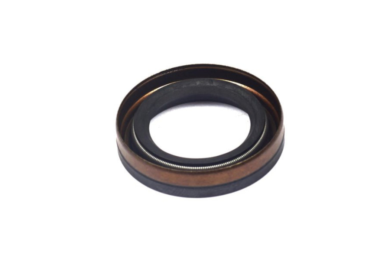 Paraolio - Originale Briggs & Stratton - 391483S