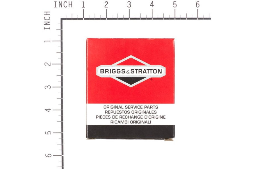 Biella 10.. Dopo 0308 Ex496792  - 699654 - Originale Briggs & Stratton