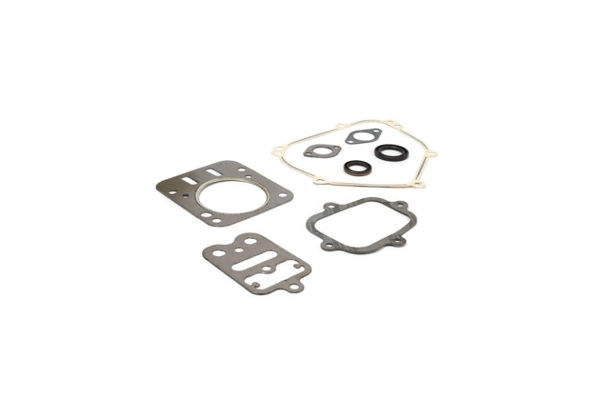 Gasket Set-Engine - 557110 -  Briggs & Stratton - Genuine Spare Parts