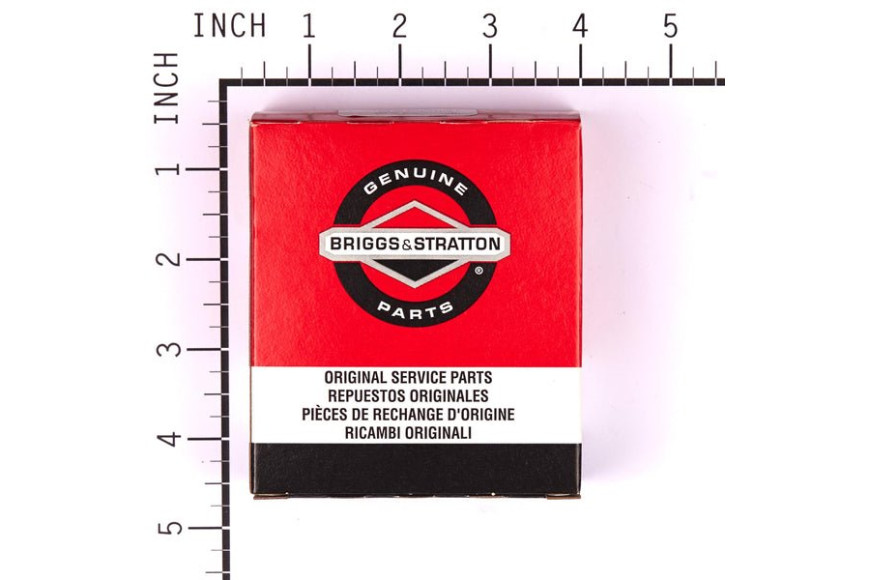 Biella Ex 391640  - 490566 - Originale Briggs & Stratton