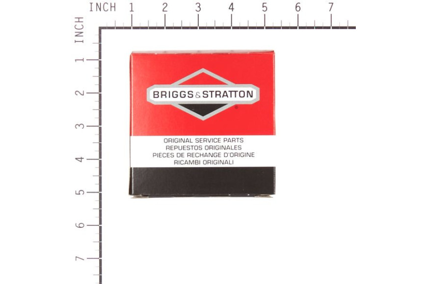 Filtro Aria X21 (5X4242) Ex 796032 - 591583 - Originale Briggs & Stratton