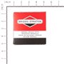 Filtro Aria X21 (5X4242) Ex 796032 - 591583 - Originale Briggs & Stratton