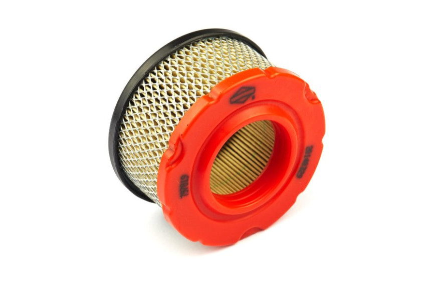 Filter-Air Cleaner Ca - 797819 - Originale Briggs & Stratton