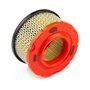 Filter-Air Cleaner Ca - 797819 - Originale Briggs & Stratton