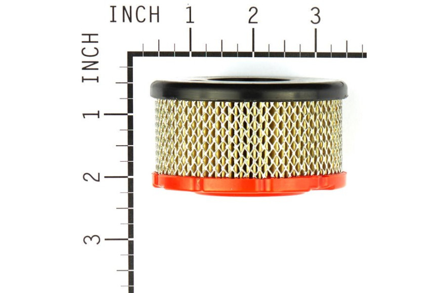 Filter-Air Cleaner Ca - 797819 - Originale Briggs & Stratton