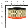 Filter-Air Cleaner Ca - 797819 - Originale Briggs & Stratton
