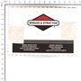 Ventola Ex 794436 697853  - 796201 - Originale Briggs & Stratton