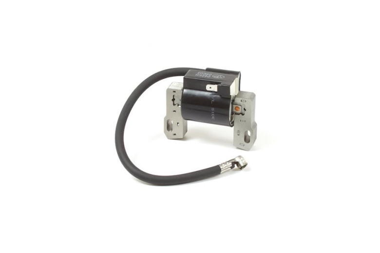 Armature-Magneto Ex 844548 - 845606 - Originale Briggs & Stratton