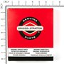 Filtro Quadrato(4140 Pz 5 ) - 805113 - 805113 - Originale Briggs & Stratton