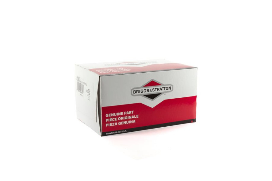 Filtro Aria Ex390930(4106 Pz 4) - 393957S - 393957S - Originale Briggs & Stratton