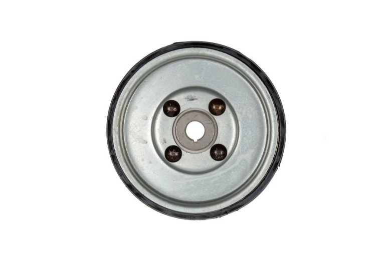 Ruota Variatore Completa - Originale Snapper - 7600208YP