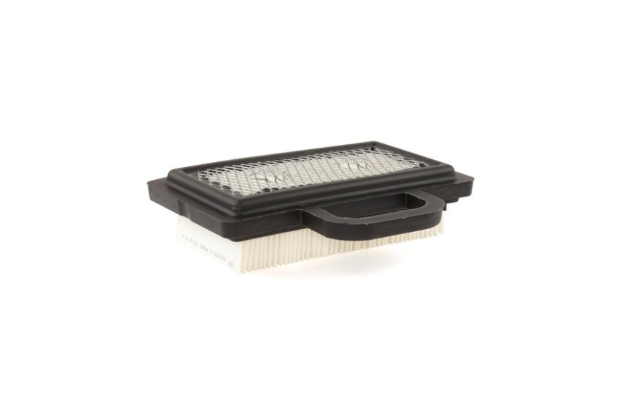 Filtro Aria 407777 - 792101 - Originale Briggs & Stratton