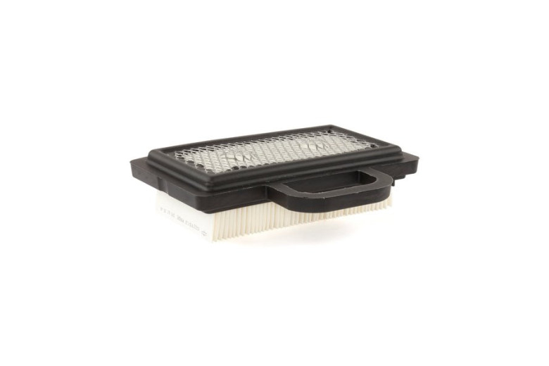 Filtro Aria 407777 - 792101 - Originale Briggs & Stratton