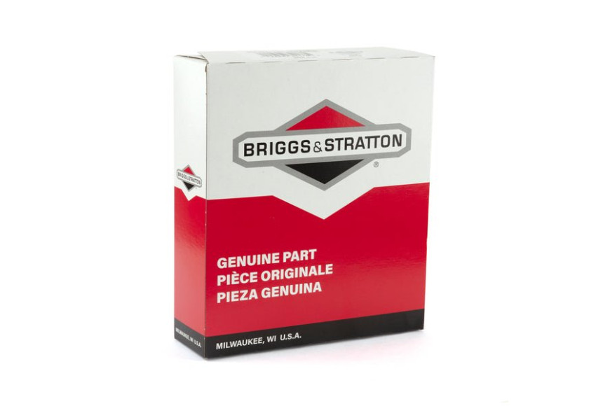 Filtro Aria 407777 - 792101 - Originale Briggs & Stratton