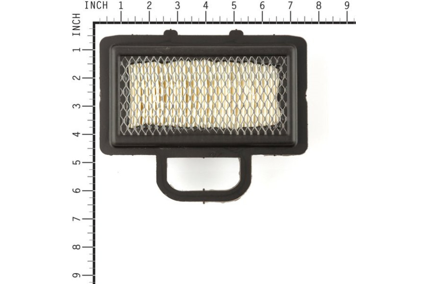 Filtro Aria 407777 - 792101 - Originale Briggs & Stratton