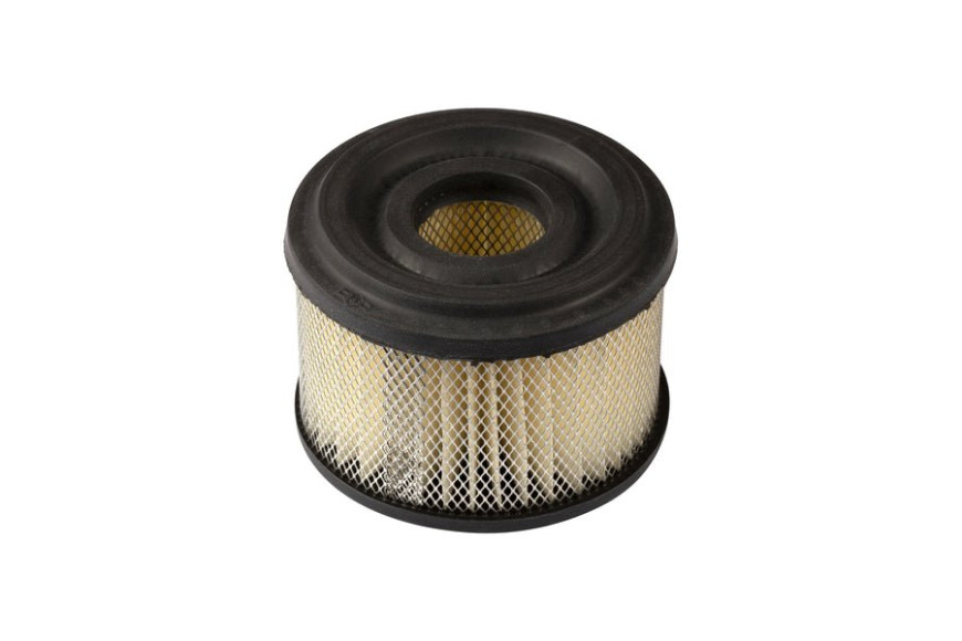 Cartuccia Filtrante - 390492 - 390492 - Originale Briggs & Stratton