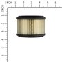 Cartuccia Filtrante - 390492 - 390492 - Originale Briggs & Stratton