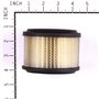 Cartuccia Filtrante - 390492 - 390492 - Originale Briggs & Stratton