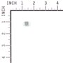 Dado 3/8-16 Nc-2B - Originale Snapper - 703577