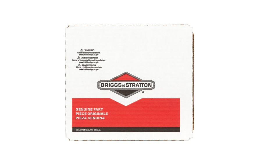 Motori Serie 21 E 31 Ohv  - 796000 - Originale Briggs & Stratton
