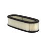 Filtro Aria (4136 Pz 4) - 394019S - 394019S - Originale Briggs & Stratton