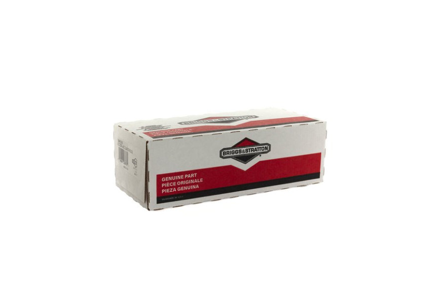 Filtro Aria (4136 Pz 4) - 394019S - 394019S - Originale Briggs & Stratton