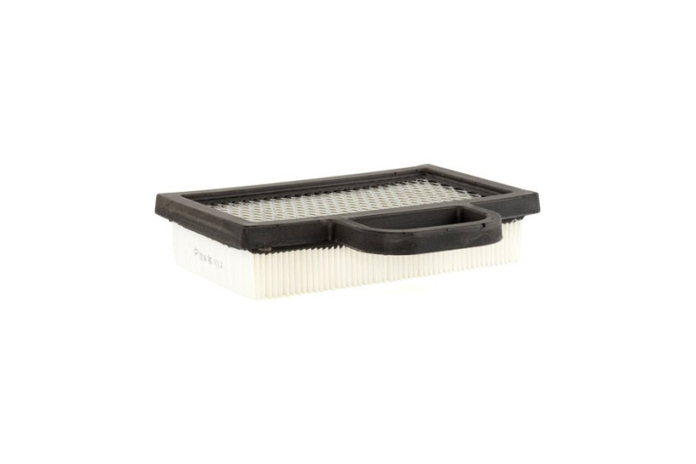 Filtro Aria Ex691007-698754(4223X6) - 499486S - Originale Briggs & Stratton