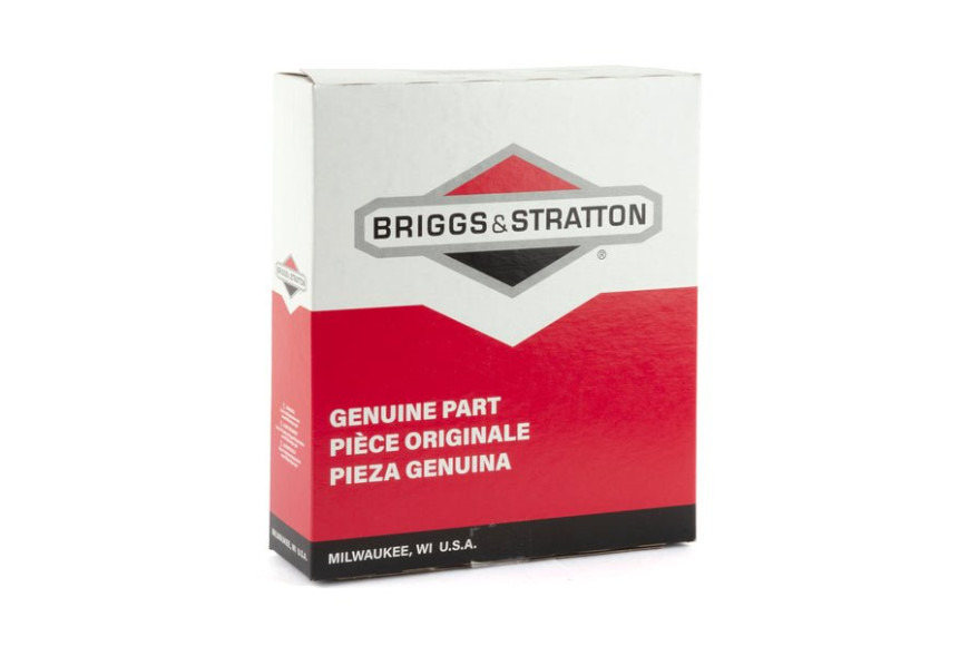 Filtro Aria Ex691007-698754(4223X6) - 499486S - Originale Briggs & Stratton