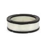 Filtro Aria (4135 Pz 4) - 394018S - 394018S - Originale Briggs & Stratton