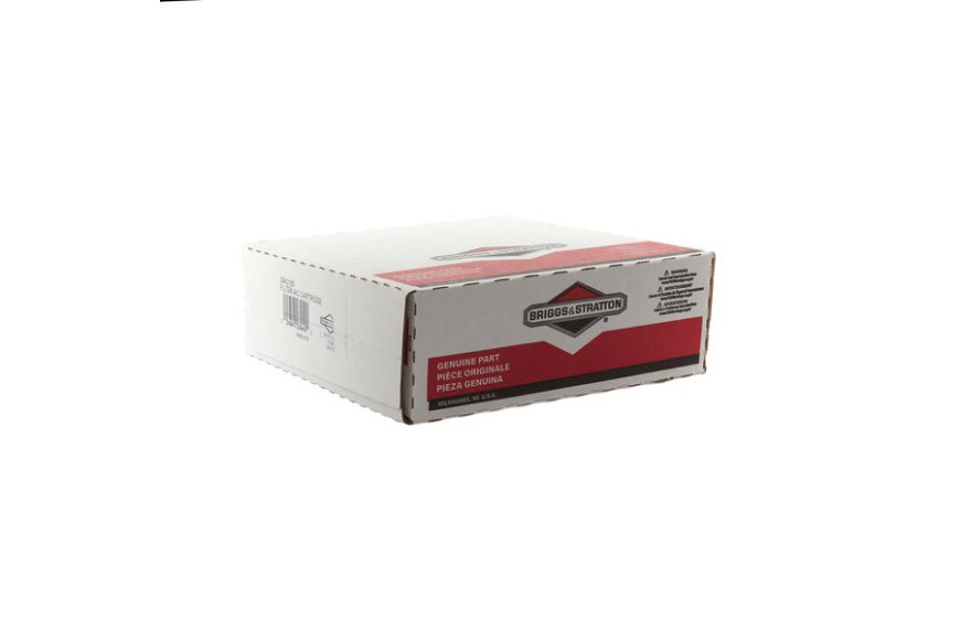 Filtro Aria (4135 Pz 4) - 394018S - 394018S - Originale Briggs & Stratton