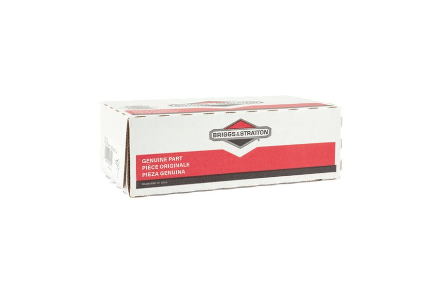Filtro Aria Ex697153-698083(6X4211) - 795115 - Originale Briggs & Stratton