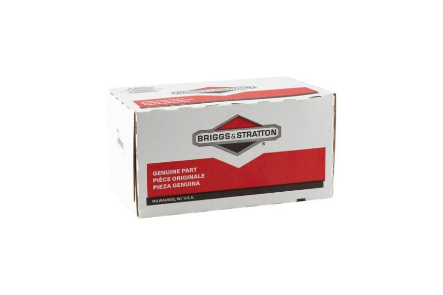 Motore Avviamento - 846451 - Originale Briggs & Stratton