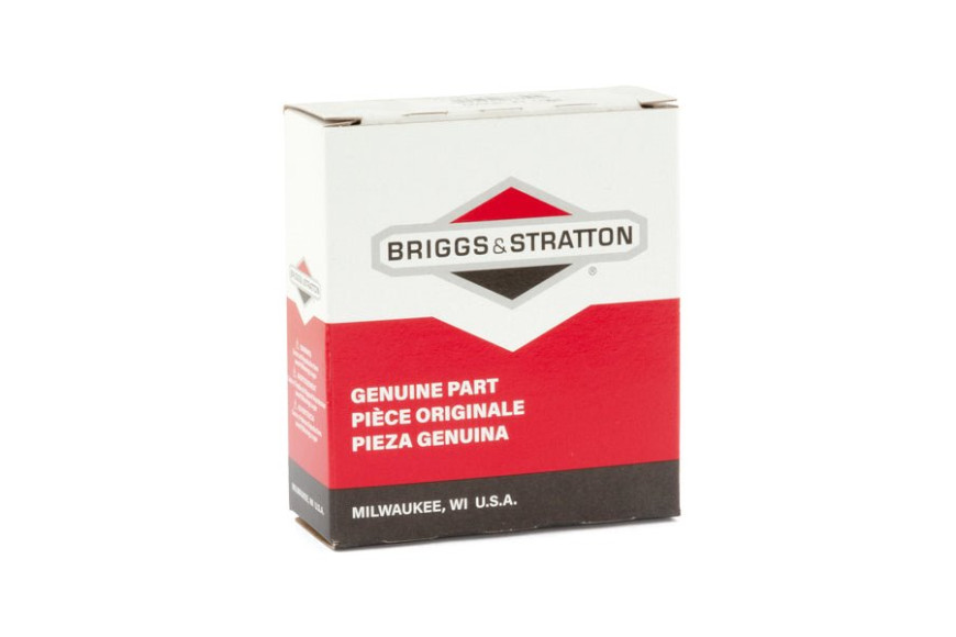 Filtro Filtro Aria Fo - 797301 - Originale Briggs & Stratton