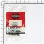 Catena Trasmissione Rider - Originale Snapper - 7010941YP