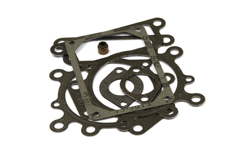 Serie Guarnizioni Ex 690190 320318  - 794152 - Originale Briggs & Stratton