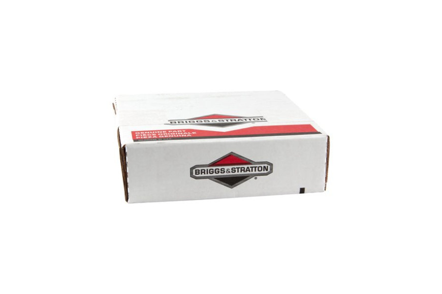 Screen-Rotating - 494439 -  Briggs & Stratton - Genuine Spare Parts