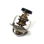 Thermostat - 825064 - Originale Briggs & Statton